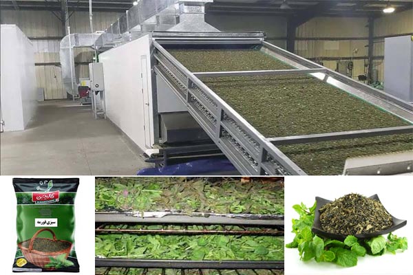 دستگاه سبزی خشک